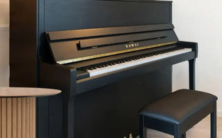Why Serious Piano Players Choose C. Bechstein and Feurich: A Guide to Premium Acoustic Pianos Austral Piano World