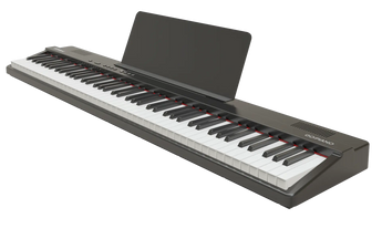 ROLAND GO:PIANO88PX 88-Key Portable Roland