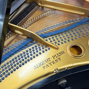 Bluthner Boudoir 173 Grand piano Blüthner