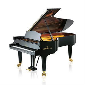 C.Bechstein Concert C-234 C.Bechstein