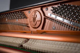 Feurich 122 Universal --- Award-Winning European Design Upright Piano