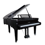 Feurich 179 Self Playing Piano Disc Grand Piano Feurich
