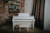 Casio GP-310 Celviano Digital Grand Hybrid Piano Casio