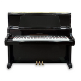Kawai US-65 Professional Upright Austral PIano World
