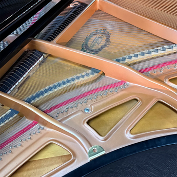 Wertheim W-150 Premium Baby Grand Piano (2010) Wertheim