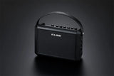 Roland Cube Street Mini Roland