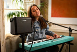 Roland Cube Street Mini Roland