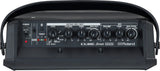 Roland Cube Street Mini Roland