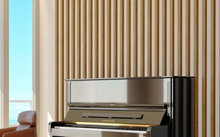 C. Bechstein :  New Hybrid Instruments Revolutionize Music Education and Production