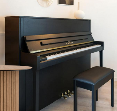 Why Serious Piano Players Choose C. Bechstein and Feurich: A Guide to Premium Acoustic Pianos