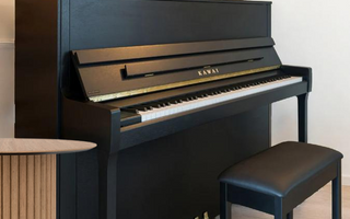 Why Serious Piano Players Choose C. Bechstein and Feurich: A Guide to Premium Acoustic Pianos