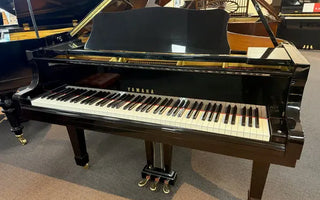 Baby Grand Piano Buying Guide: Everything You Need to Know Before You Buy Austral Piano World