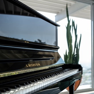 The world of piano and grand piano art