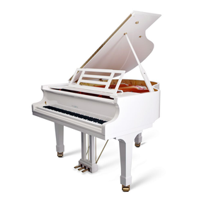 Feurich 162 – Dynamic I Feurich Grand Piano
