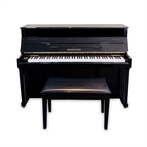 Bernstein Elite 110 (1997)