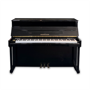 Bernstein Elite 110 (1997)