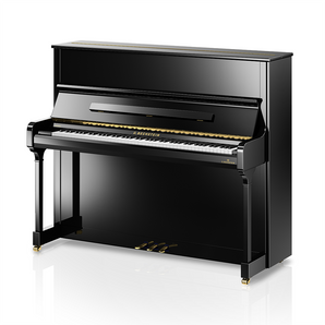 C. Bechstein Residence R 6 Style