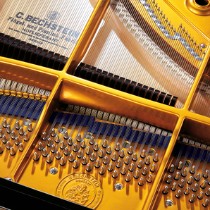 C.Bechstein Concert C-234