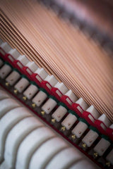 Feurich 122 Universal --- Award-Winning European Design Upright Piano