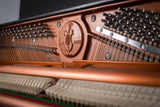 Feurich 122 Universal --- Award-Winning European Design Upright Piano