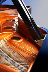 Feurich Model 218 Concert I --- Premium European Concert Grand Piano