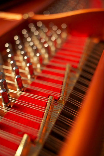 Feurich Model 218 Concert I --- Premium European Concert Grand Piano