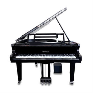 Feurich 179 Self Playing Piano Disc  Grand Piano