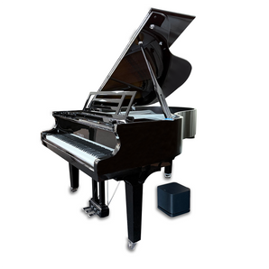Feurich 179 Self Playing Piano Disc  Grand Piano