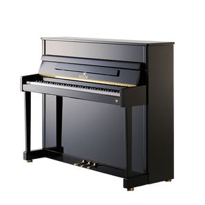 Seiler 116 EP Ritmo