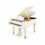 C.Bechstein A-192 --- Premium Salon Grand Piano in Polished Ebony