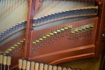 FEURICH 133 Concert --- Premium Large Upright Piano