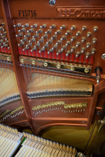 FEURICH 133 Concert --- Premium Large Upright Piano