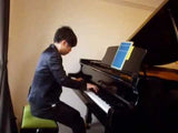 W.Hoffmann T177 --- Premium European Tradition Grand Piano