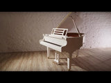 Feurich 162 – Dynamic I Grand Piano Australia Piano World Warehouse