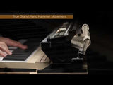 Casio GP-310 Celviano Digital Grand Hybrid Piano