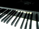 W.Hoffmann T186 --- Premium European Tradition Grand Piano