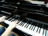 W.Hoffmann T186 --- Premium European Tradition Grand Piano