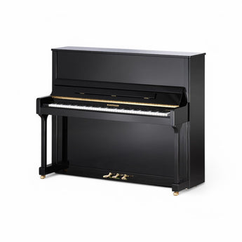 W.Hoffmann T128 --- Premium European Upright Piano